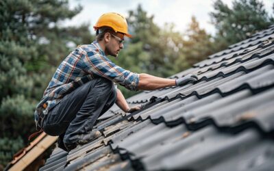 Roof Damage: Signs Replacement Is Needed