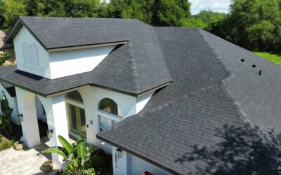 When to Replace Your Roof: Signs of Serious Damage